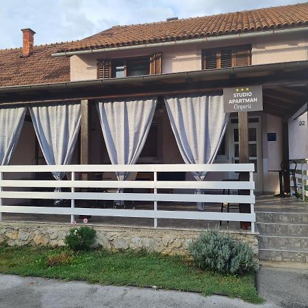 Studio Apartman Grguric Karlovac Exterior photo